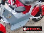 Oferta especial Triciclo eléctrico de paseo o moto eléctrica de 3 ruedas