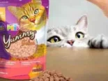 Galletas Premio para Gatos