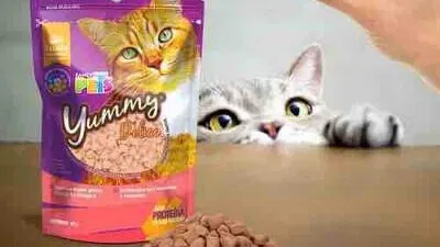Galletas Premio para Gatos