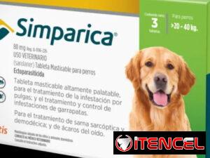 d75a190f128fa00971fecdcaefe53b06dc845baf2ff49cce7159ac30ff281144-4
