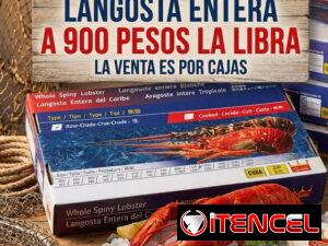 d75d5c69b075ac39e02be98c40241c9c1c9762ffa36d9121dfdbf9c812a06e6f