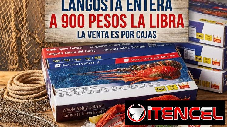 Venta de quesos y langosta