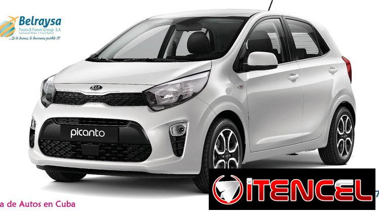 Renta de Autos Aquí👇🏻✅️DISPONIBLES TODO EL AÑO⬆️⬆️