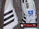 Tenis Vans y Adidas