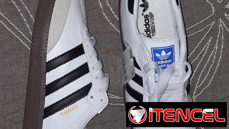 Tenis Vans y Adidas