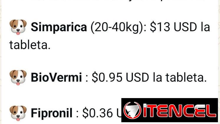 medicamento para perros 🐕