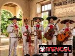 Grupo mariachis gallos de pelea!