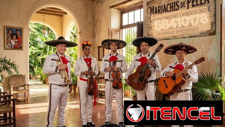 Grupo mariachis gallos de pelea!
