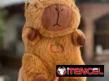 Peluches capibara .   20 USD