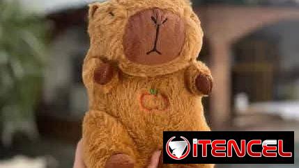 Peluches capibara .   20 USD