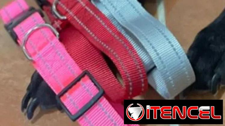 COLLAR REFLECTANTE PARA MASCOTAS
