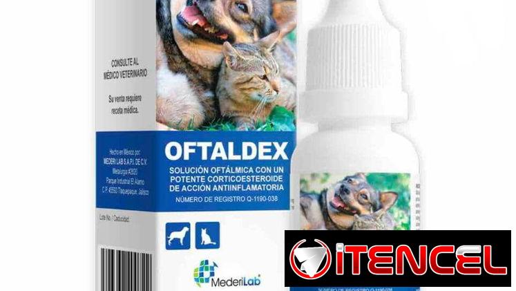 Dexametosana colirio perros y gatos