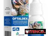 Dexametasona Neomicina Diclofenaco Gentamicina para perros y gatos
