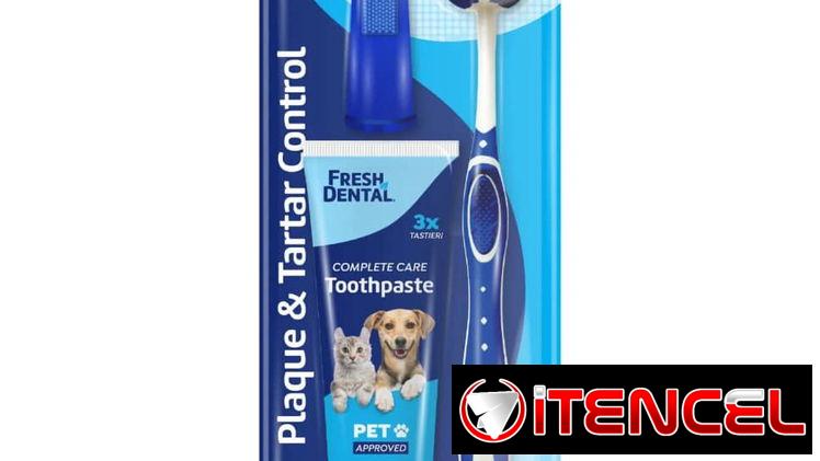 Set Dental