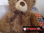 Muñecos oso de peluche