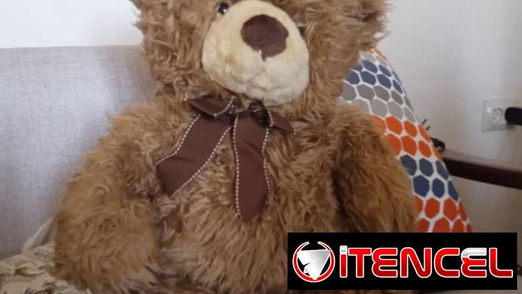 Muñecos oso de peluche
