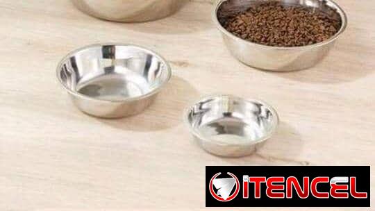 Confort y Bienestar para mascotas