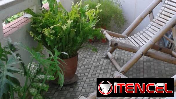 Apartamento de renta en el Vedado! MUY CENTRICO!