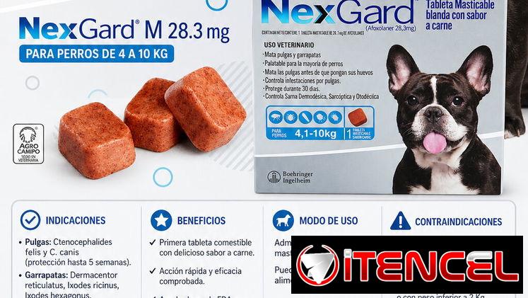 Nexgard para perros 4-10kg