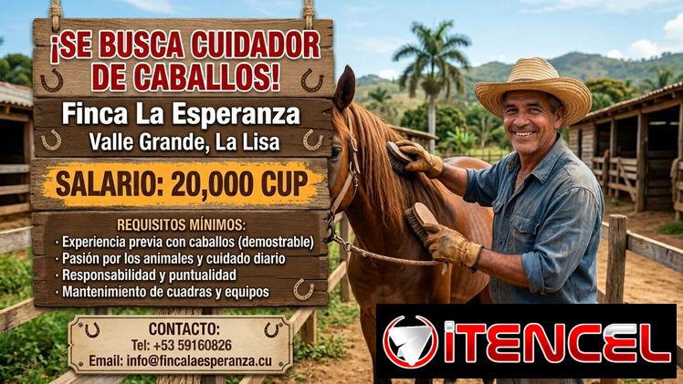 Cuidador de caballos