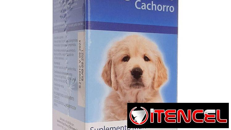 Complejo vitamínico para perros Doguvit