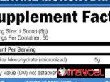 Creatina Monohidratada Essentials 50 servings