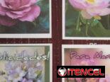 Postales para Mamá, tarjetas para las Madres, regalos