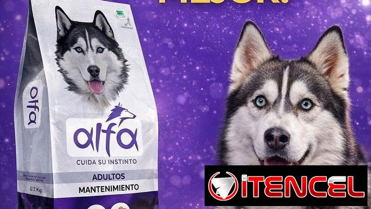 Pienso alfa premium 20kg