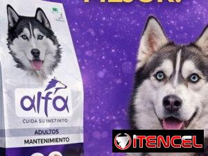 d993d2762a06faa569cdb4274c5e18425698dc17ae83f2e35498fa88e7ed71ad-2