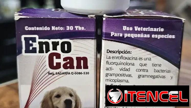 ENROCAN (Antibiótico de amplio espectro) Para perros
