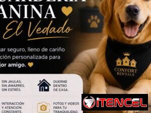 da34fb000d1238c1bf62a1bbf5227c8943ada7a32c2e6656d4a8cdd7d9eff91f