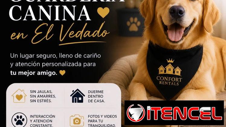 Guardería Canina