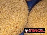Exquisitas croquetas y medallones