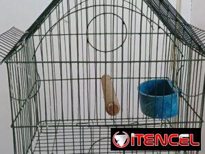 da6ac160f5549f2de95428a14c8791d93df1a365be364cb308a69bef750c3389