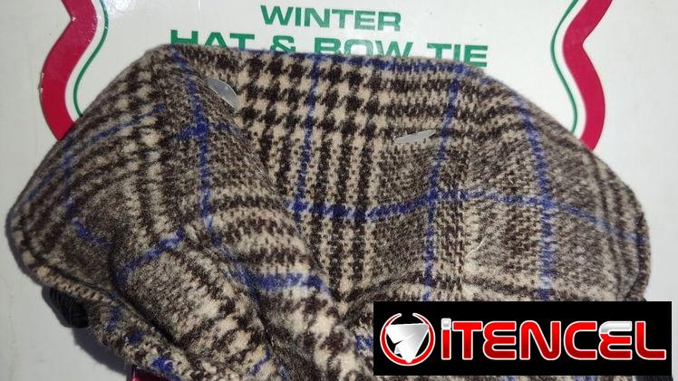 Gorro y lazo inglés para perros elegantes.