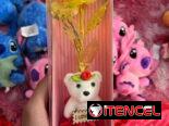 Estuches de peluches hermosos