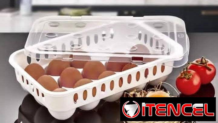 Organizador de huevos (eh)