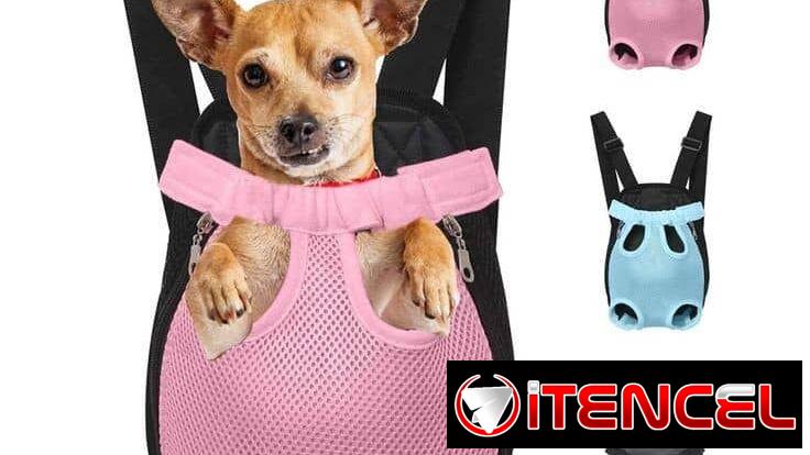 Cargadores para sus mascotas