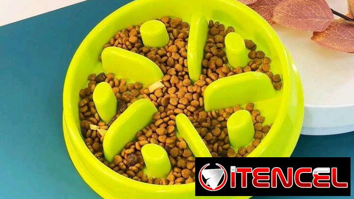 Plato para mascotas comederos de alimentación lenta  antiasfixia
