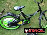 Bicicleta 20