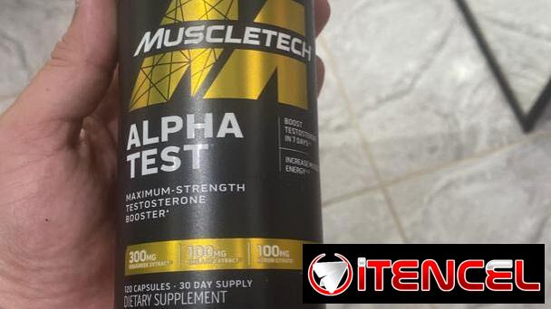 ALPHA TEST