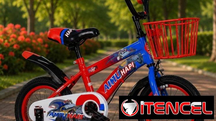 Bicicletas sencillas medida 20