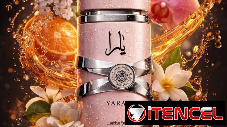 Se buscan gestores de ventas para perfumes Originales y alternativas económicas,