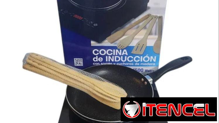 Kit de Cocina de Inducción 1500W + Sartén + Set de Cucharas de Madera