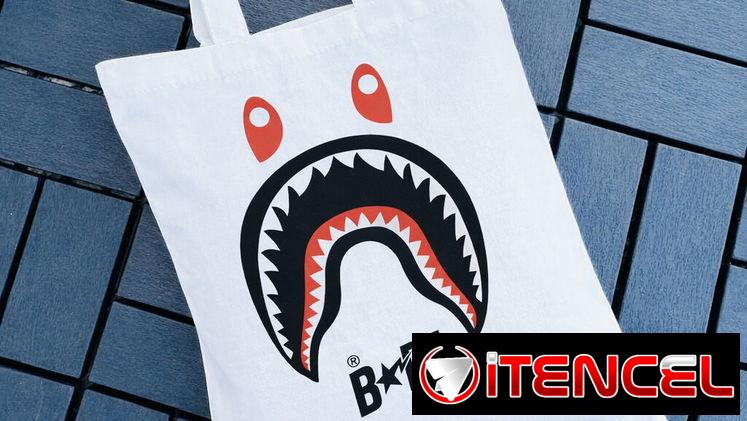 Bolsas BAPE