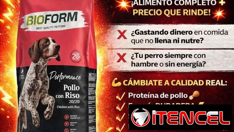 Pienso Premium Mascotas 🐾 20kg + Latas – Rebaja Especial (Kinetica)
