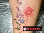 Tatuajes/Tattoos/Tatuador