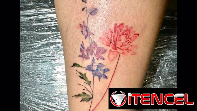 Tatuajes/Tattoos/Tatuador
