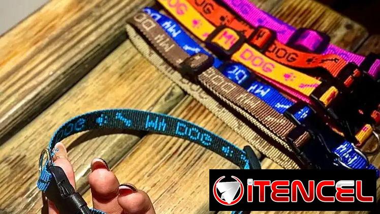 COLLAR PARA PERROS PEQUEÑOS Y MEDIANOS