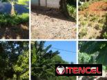 #Terreno & Árboles Frutales 0.10hta.